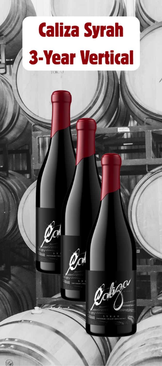 Caliza Syrah - 3 Year Vertical