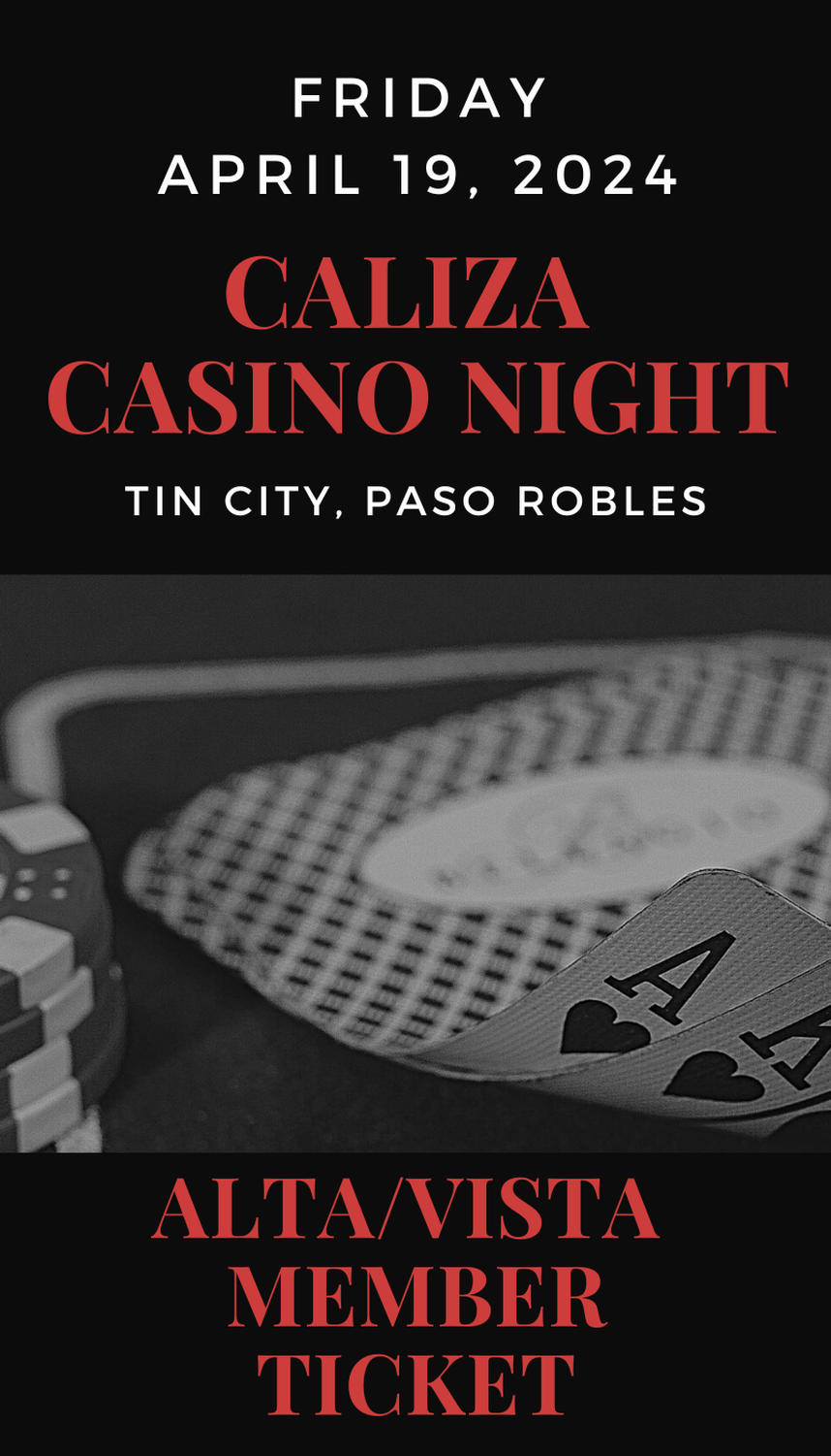 Casino Night - ALTA/VISTA