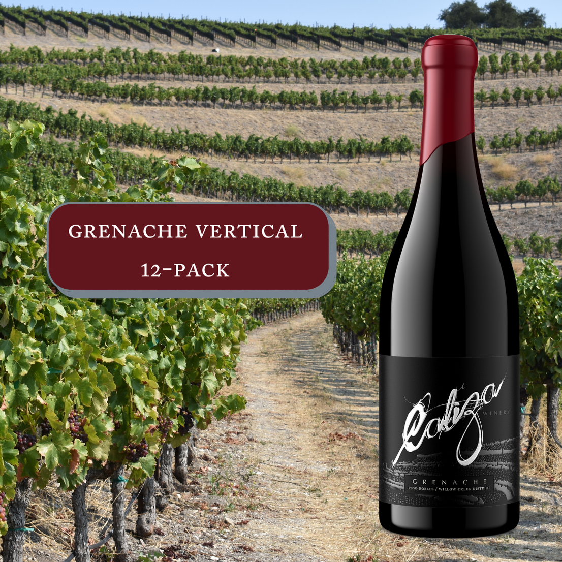 Grenache Vertical 12-Pack