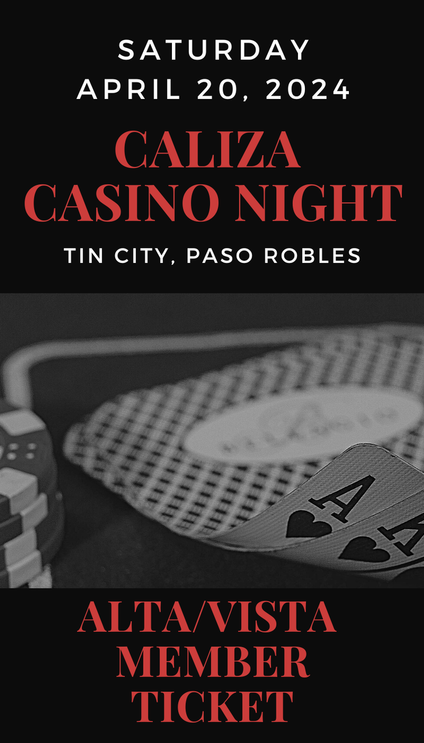 Casino Night - ALTA/VISTA
