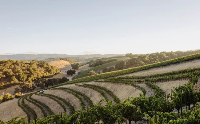 Grenache Terrace